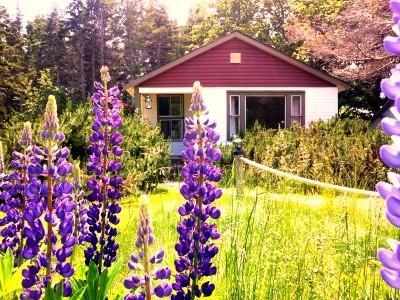 Goodview Cottages By Stanhope Beach Pei For Adults Only 외부 사진
