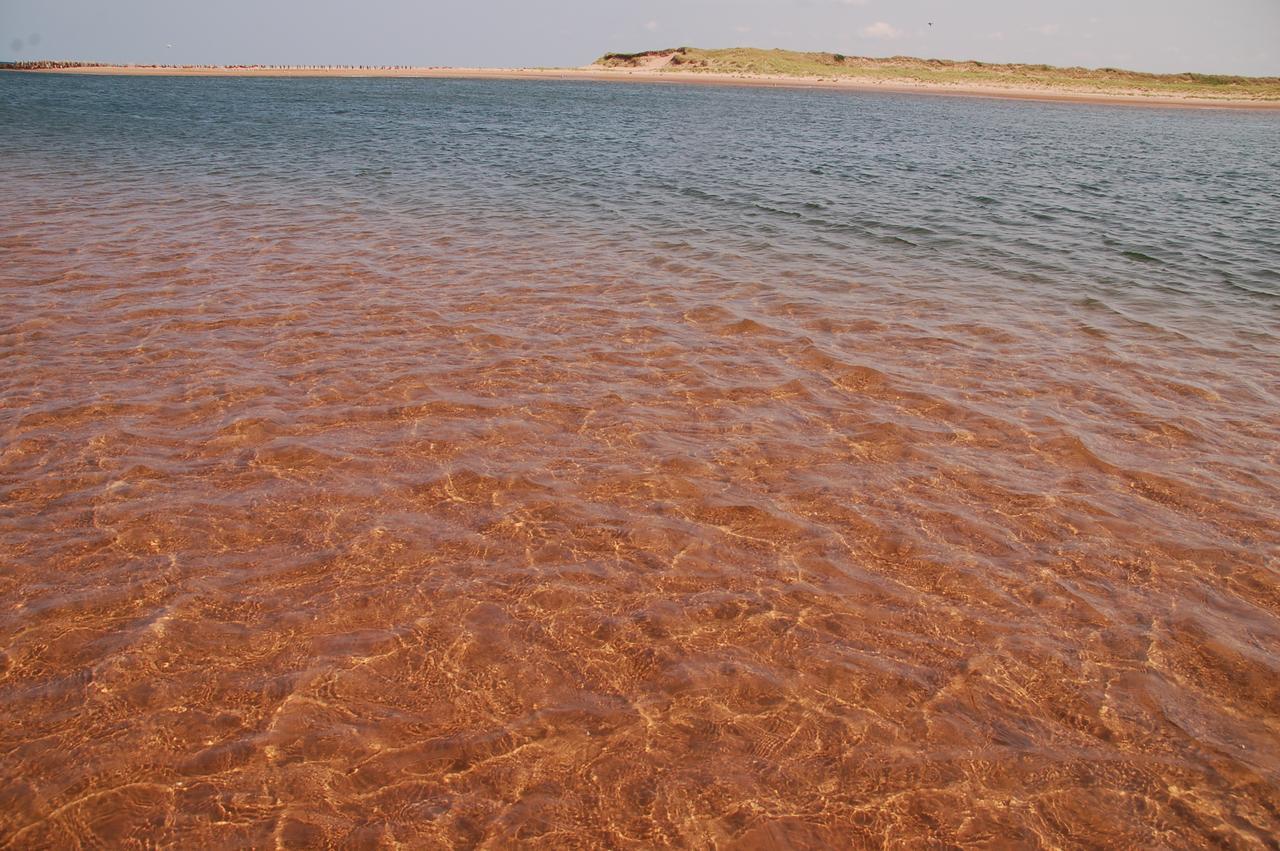 Goodview Cottages By Stanhope Beach Pei For Adults Only 외부 사진