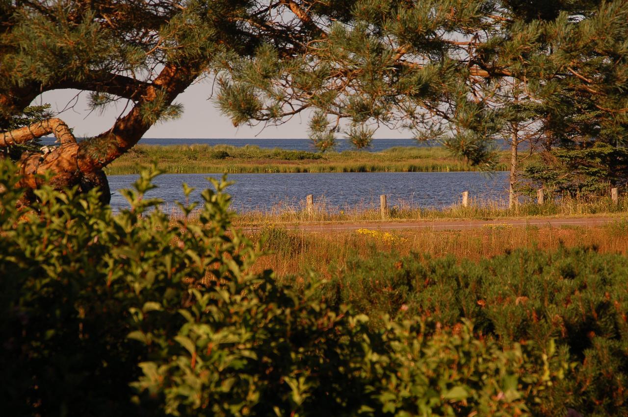 Goodview Cottages By Stanhope Beach Pei For Adults Only 외부 사진